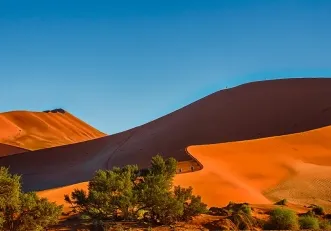 Bild: Bildunterzeile 02 (Sossusvlei Namibia)