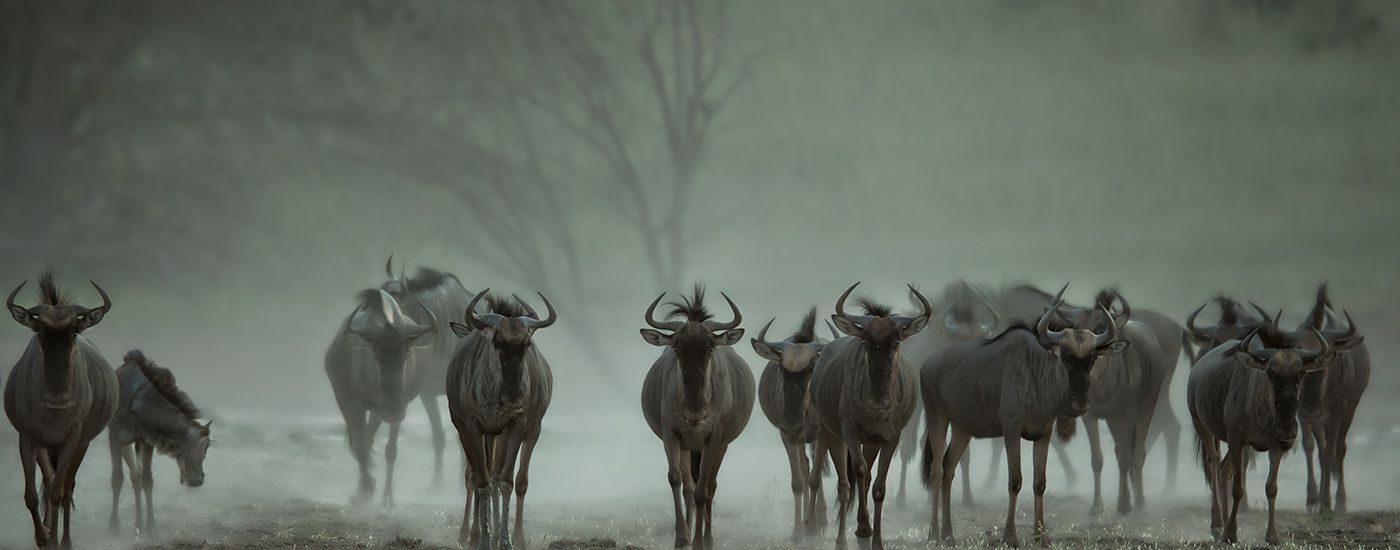 {if isset($ALT)}{$ALT}{else}{$IMGNAME}{/if}