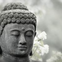 Bild: Budda (Budda)