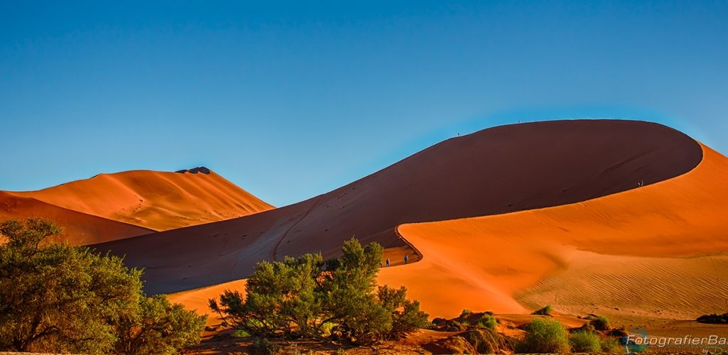 308-Namibia-sossusvlei.jpg