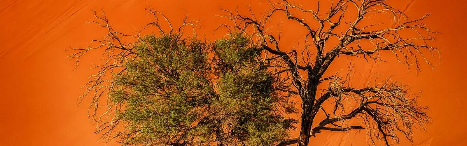 Bild: Swiper Slider Bilder Spezial (Sossusvlei Namibia)