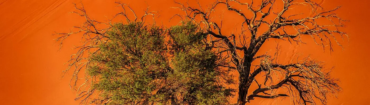 Bild: Bildunterzeile (Artikel) (A) 