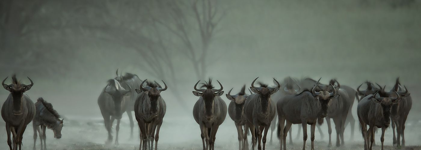 eine längere Bildunterzeile im Artikel (alt Attr.)