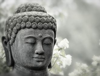Bild: Budda (Budda)