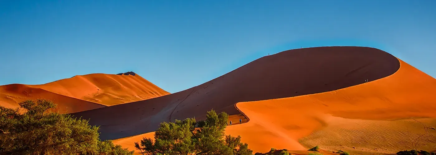 {if isset($ALT)}{$ALT}{else}{$IMGNAME}{/if}