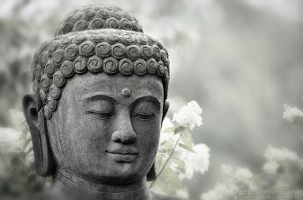 Bild: Budda (Budda)