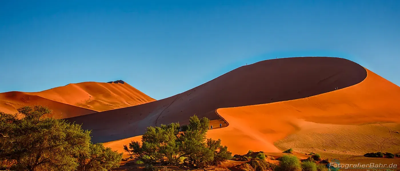 Bildunterzeile im Artikel (alt Attr. Artikel)