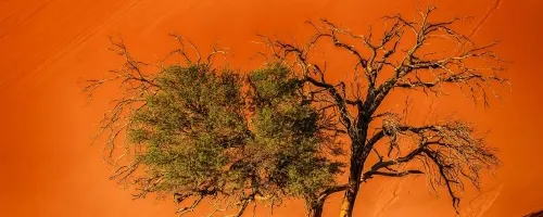  (Sossusvlei Namibia)