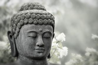 Bild: Budda (Budda) 
