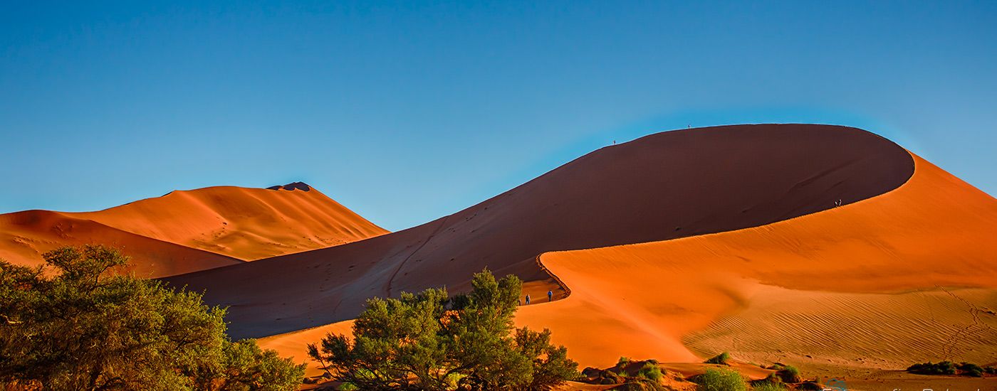 {if isset($ALT)}{$ALT}{else}{$IMGNAME}{/if}