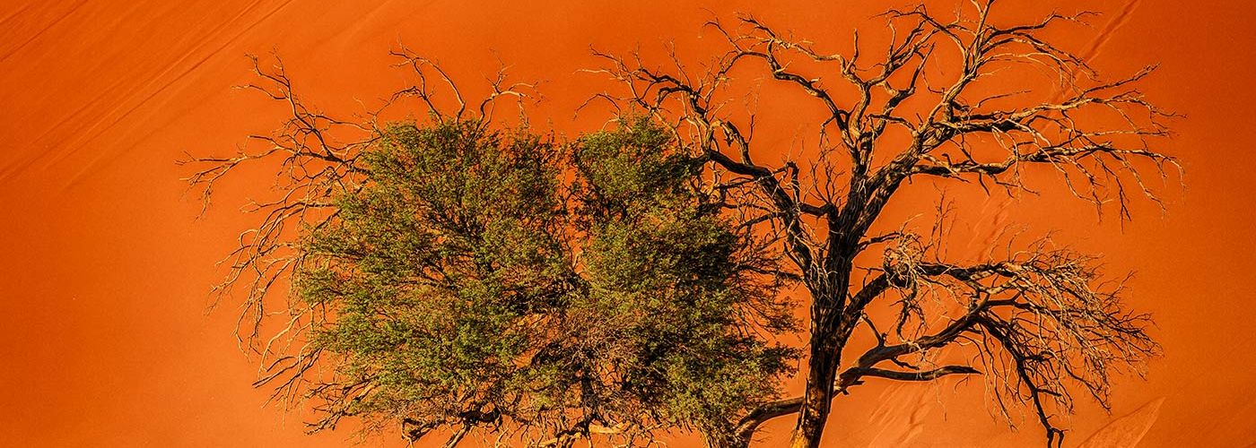 Sossusvlei Namibia (Sossusvlei Namibia)