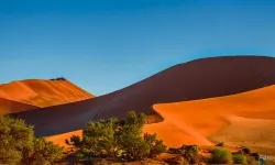 308-Namibia-sossusvlei.webp