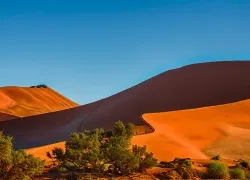 308-Namibia-sossusvlei.webp
