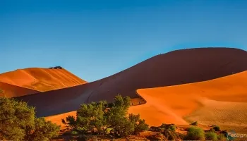 308-Namibia-sossusvlei.webp 