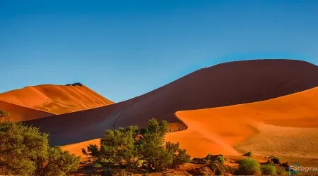 308-Namibia-sossusvlei.webp