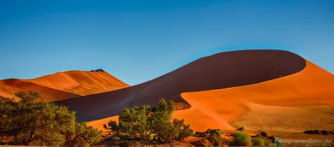 308-Namibia-sossusvlei.webp